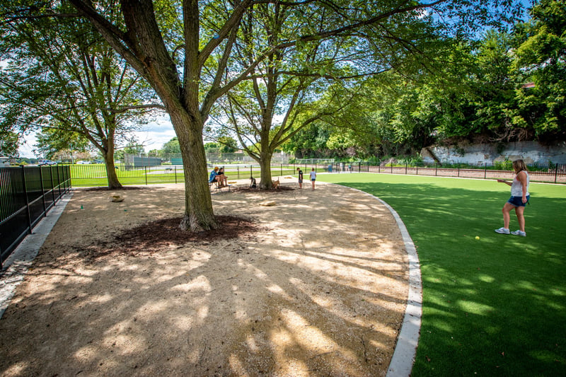 Brittingham Dog Park preview 2